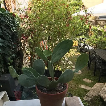 Duplex Independant 36 M2, Fond De Jardin Libourne